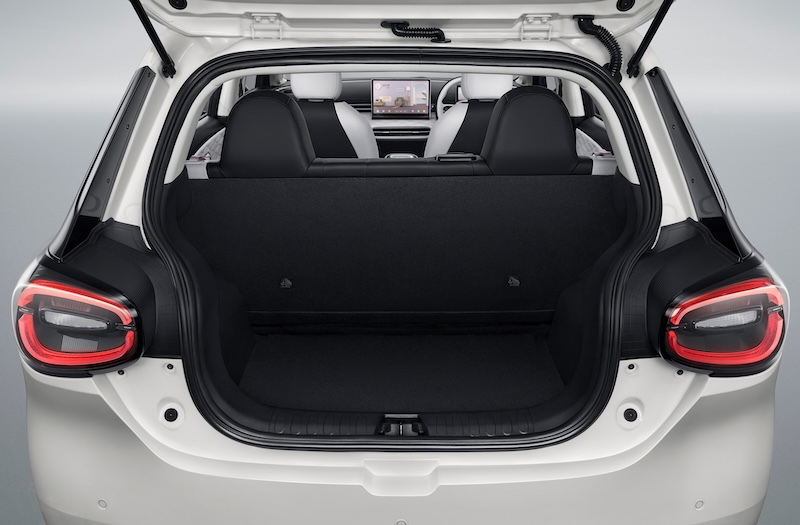 trunk